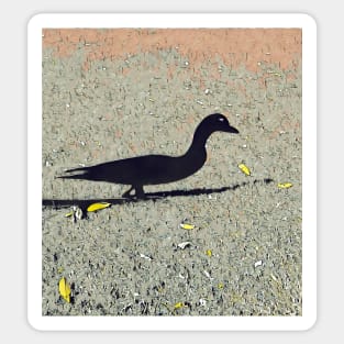 Duck Duck Shadow Sticker